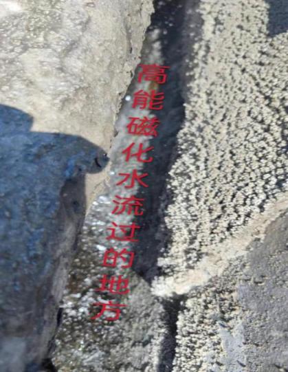 山西孝義六和食品廠